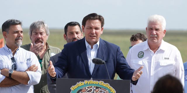 Florida Gov. Ron DeSantis speaks at the annual Florida Python Challenge.