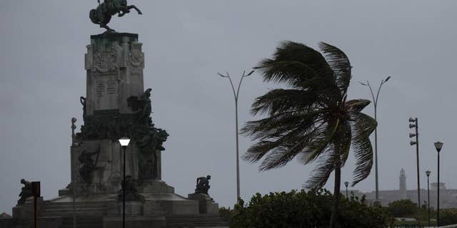 Wind blows a palm tree in Havana, Cuba, Sept. 27, 2022.