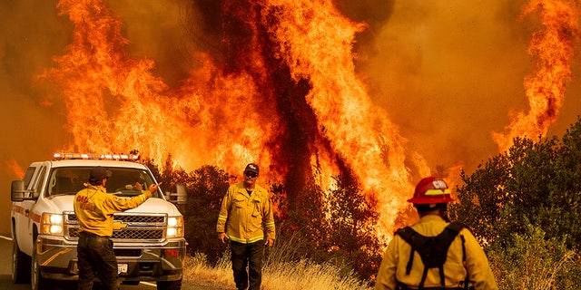 Firefighters work to contain a blaze in Lake County, California, on Aug. 23, 2020. (AP Photo/Noah Berger)