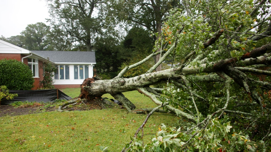 Tropical Weather Virginia