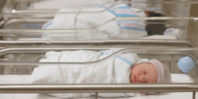 Stock image of newborn babies in a hospital nursery.