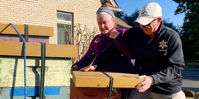 Rorie S. Woods, 55, of Hadley, Mass., left, and a Hampden County Sheriff's Department officer, right, vie for control of containers of bees, in Longmeadow, Mass., Wednesday, Oct. 12, 2022. 