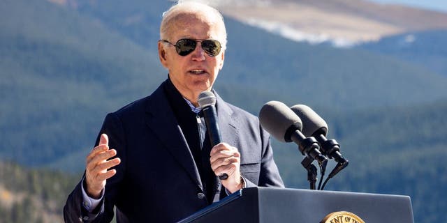 Outside of broad policy directives, Biden has also taken a series of smaller executive orders in recent weeks that could boost incumbent Democrats running for re-election. 