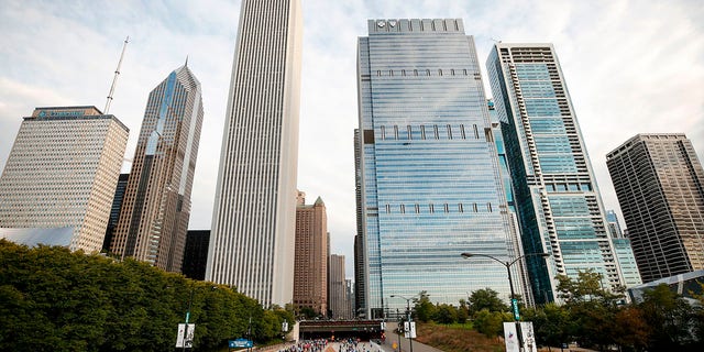 Runners compete during the 2019 Bank of America Chicago Marathon on October 13, 2019 in Chicago, Illinois.