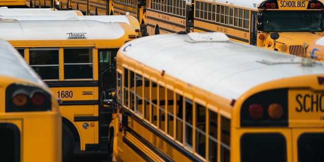 FILE - School buses parked at a lot in Marietta, Georgia, March 24, 2020.