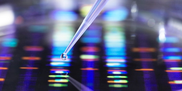 Scientist pipetting a DNA sample into a petri dish with a DNA profile in the background.