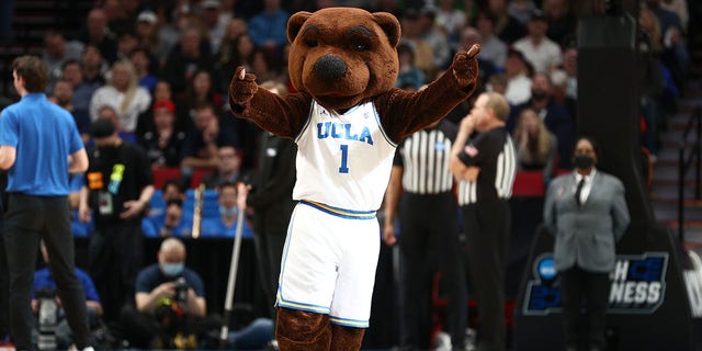 The UCLA Bruins mascot performs during the second half against the St. Mary's Gaels in the second round of the 2022 NCAA Men's Basketball Tournament at Moda Center on March 19, 2022 in Portland, Oregon. 