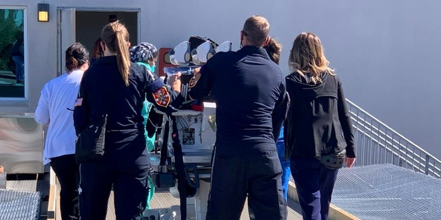 Memorial Healthcare System personnel transfer a NICU patient into a hospital following transport from a Fort Myers hospital.