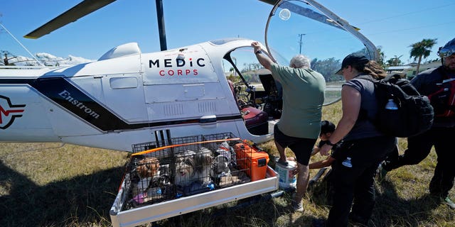 Members of mediccorps.org, who arrived with two helicopters, paramedics and volunteers, help evacuate Paul Koch and some of his dogs, in the aftermath of Hurricane Ian on Pine Island, Florida, Saturday, Oct. 1, 2022. 