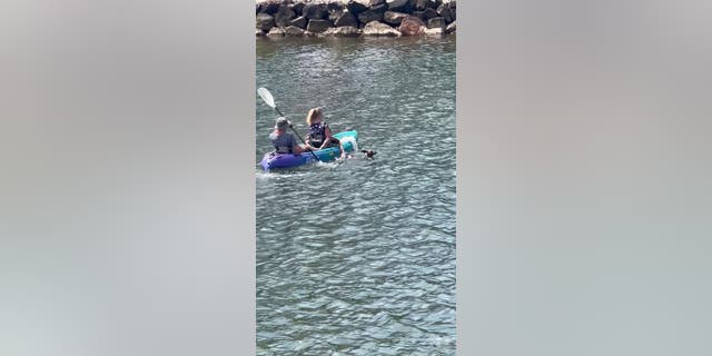 Anne and Chris Aitken drag the kangaroo to safety through shark infested canal