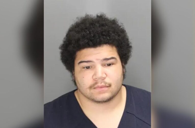 Michigan man John Wesley Hanley arrested for TikTok video showing child abuse