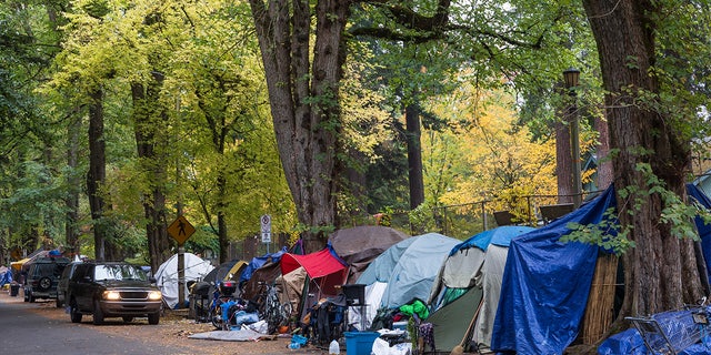 A large homeless camp at Laurelhurst Park in Portland, Oregon. Laurelhurst Park is at the center of one of Portland's most affluent neighborhoods.