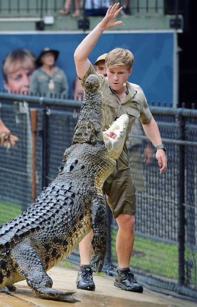 From crocs to a camera: Robert is seen at Australia Zo in a recent photo. The grown-up child star says he's more eager than ever to spread the conservation message. 