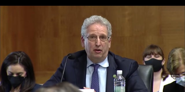 FERC Chairman Rich Glick testifies during a Senate hearing on March 3.