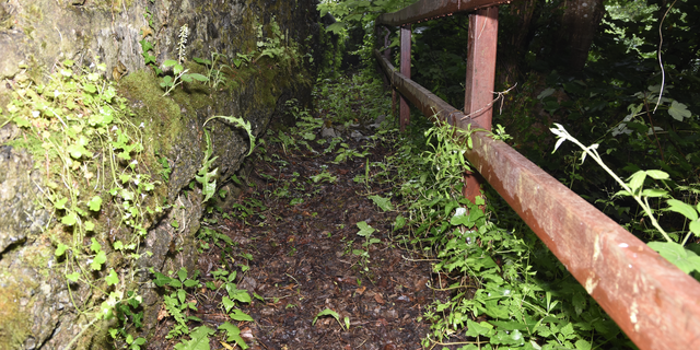 The overgrown path where Deborah's body was found in Salcombe, England. 