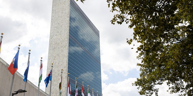 International flags outside the United Nations headquarters in New York Sept. 20, 2021. 