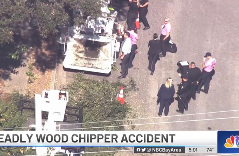 Tree trimmer dies after being pulled into a wood chipper