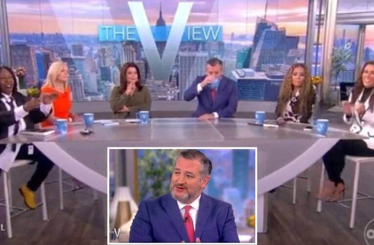 Whoopi Goldberg chastises Ted Cruz hecklers on ‘The View’: ‘You gotta go!’