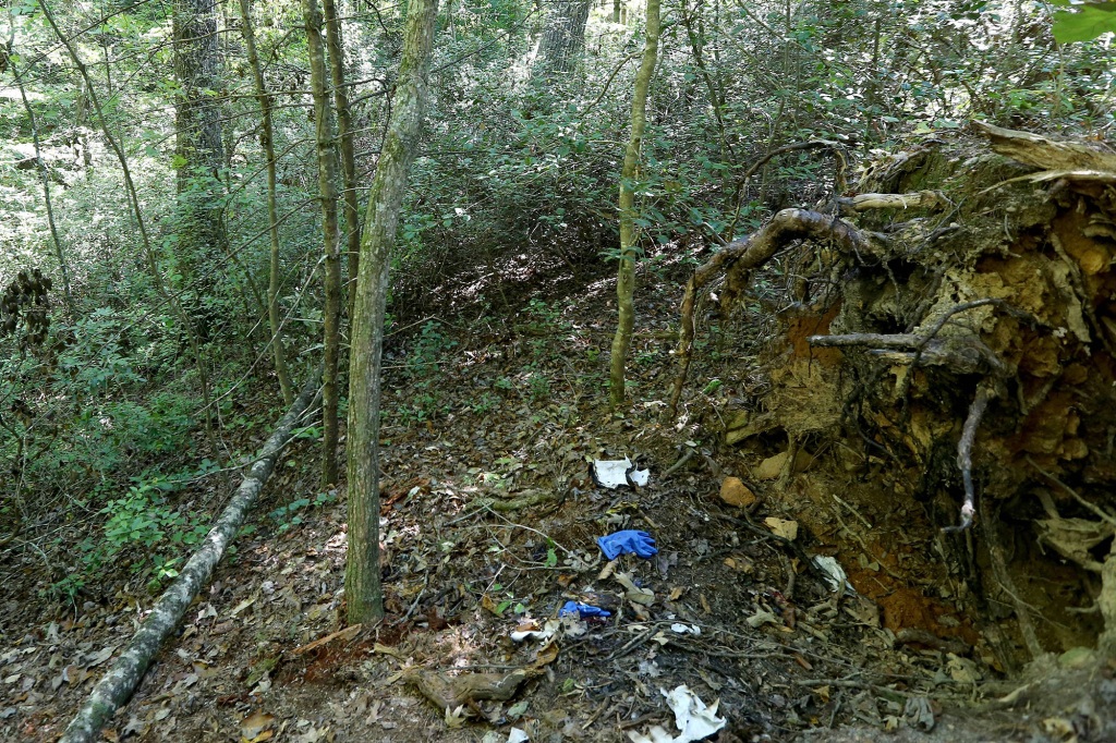 General View of the scene where murdered Georgia mom Debbie Collier's body was found