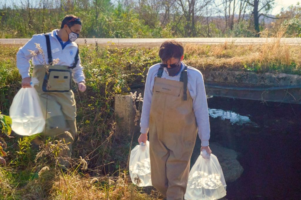 In this undated photo provided by Tennessee Aquarium, curator of fishes Matt Hamilton, left, and aquarist Adam Johnson carry oxygenated bags filled with endangered barrens topminnows to a Middle Tennessee release site. The tiny, iridescent Barrens topminnow spent more than 40 years in endangered species limbo — under on-and-off review but never officially listed as endangered. It was finally given federal protection in 2019, but its future is still in doubt. The U.S. Fish and Wildlife Service says they hope to propose designated critical habitat by the end of 2022.