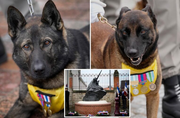 France pays tribute to hero dogs with new memorial