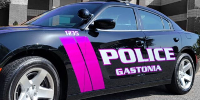 The woman was cited by the Gastonia Police Department. 