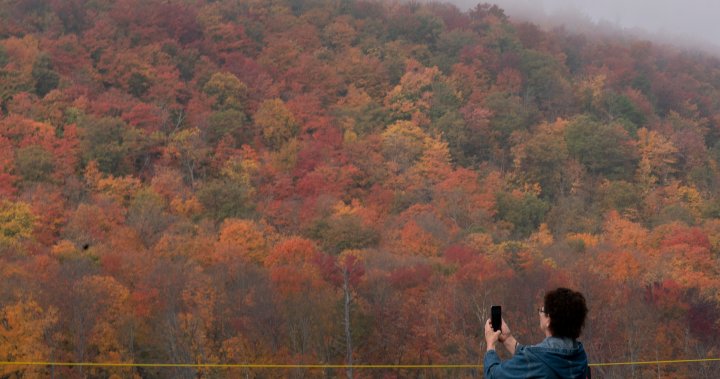 Leaves changing in Canada: Where to see spectacular fall colours coast-to-coast