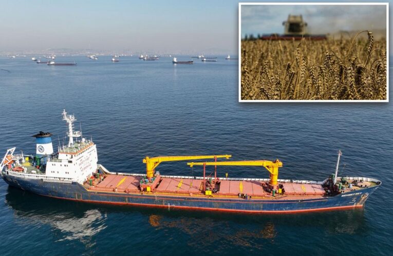 Grain shipments depart from Ukraine despite Russian blockade threat