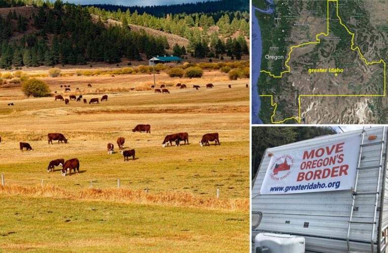 Oregon’s conservative counties eye seceding, joining ‘Greater Idaho’