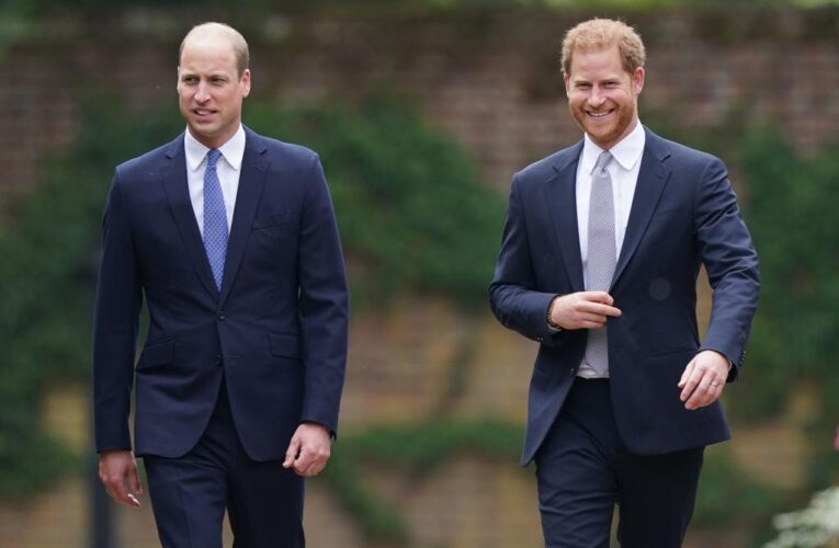 Reason Prince Harry turned down Prince William’s efforts to reconcile