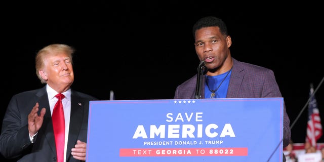 Herschel Walker speaks at a rally, as former President Donald Trump applauds, in Perry, Georgia, U.S. Sept. 25, 2021.