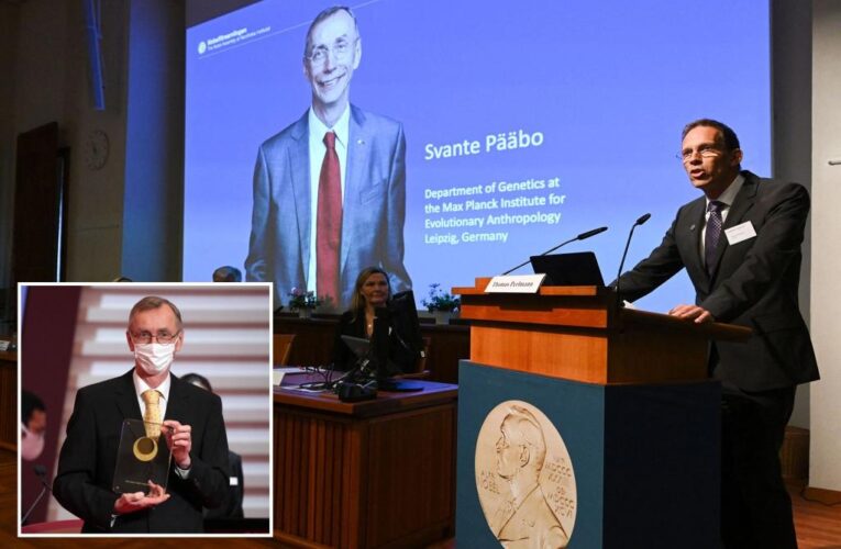 Svante Paabo wins Nobel Prize for research on evolution