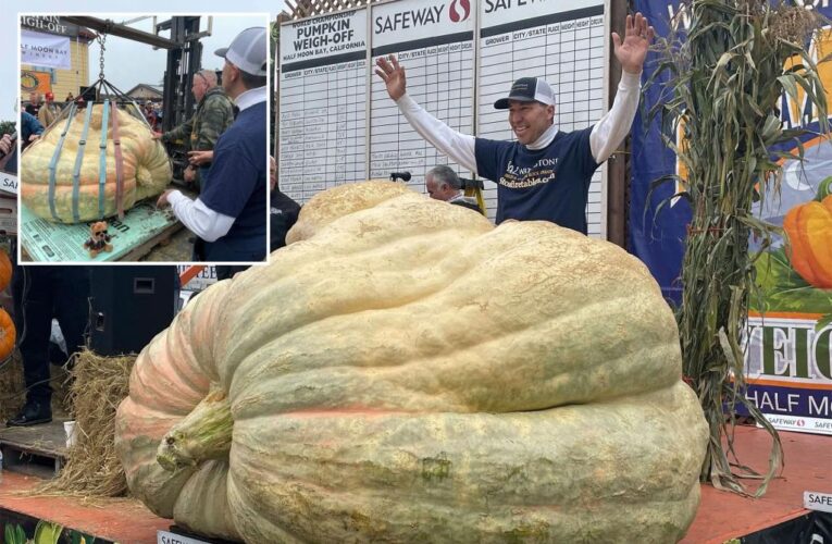 Travis Gienger, of Minnesota, grows 2,560-pound pumpkin, sets record