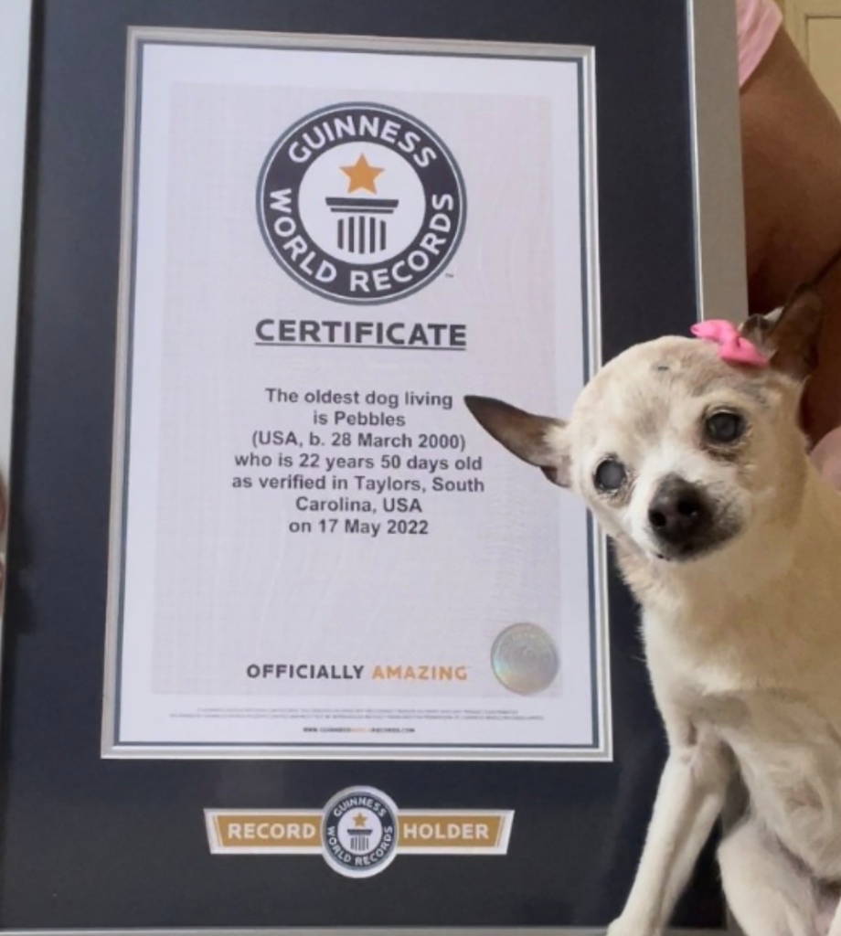 The 4-pound toy fox terrier from South Carolina was just months away from her 23rd birthday.