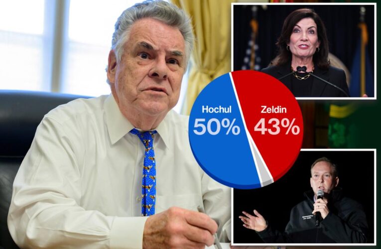 Pete King touts Zeldin’s ‘amazing surge’ in governor race