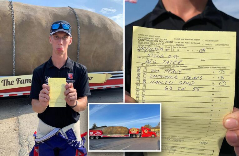 California cop pulls over driver for speeding with giant spud