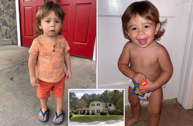Police use search dogs at home of missing toddler Quinton Simon