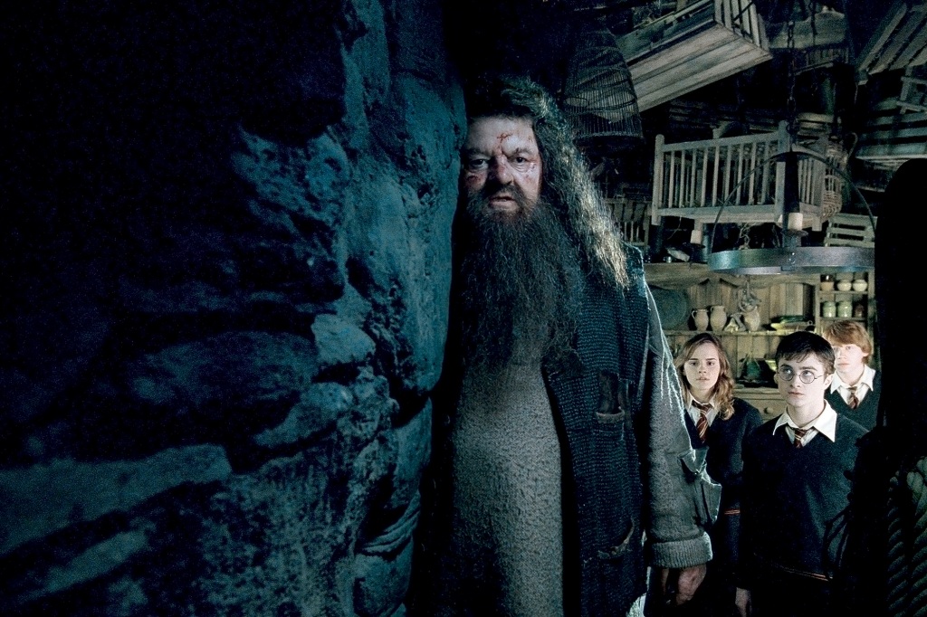 HARRY POTTER AND THE ORDER OF THE PHOENIX, Robbie Coltrane, Emma Watson, Daniel Radcliffe, Rupert Grint, 2007