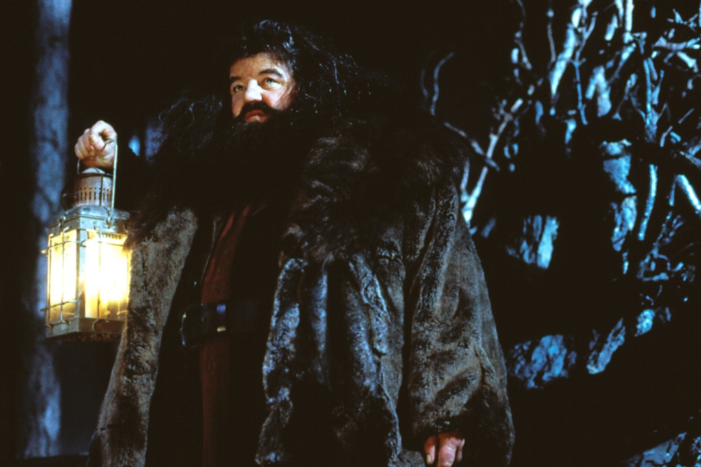 Robbie Coltrane in "Harry Potter and the Sorcerer's Stone."