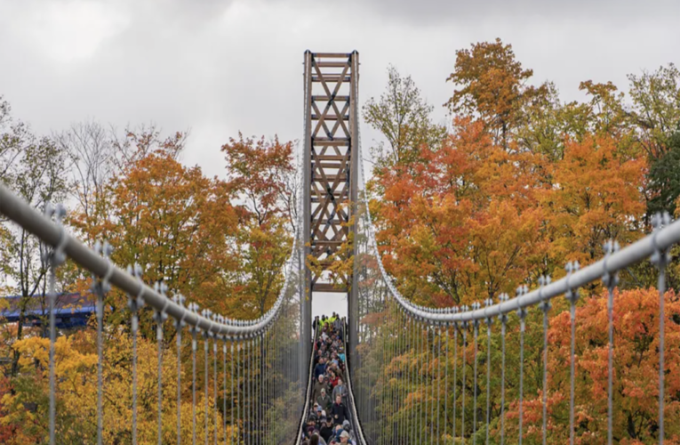 World’s longest timber-towered suspension bridge opens to daring sightseers in Michigan