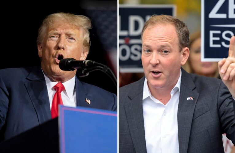 Trump endorses Zeldin in NY governor race against Hochul