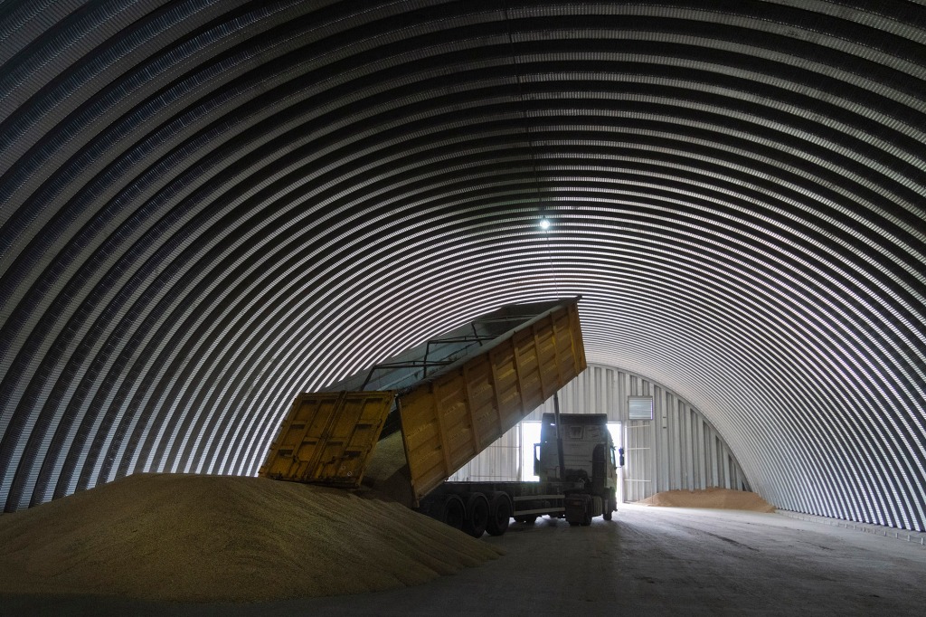 A dump track unloads grain in a granary in the village of Zghurivka, Ukraine, Tuesday, Aug. 9, 2022.