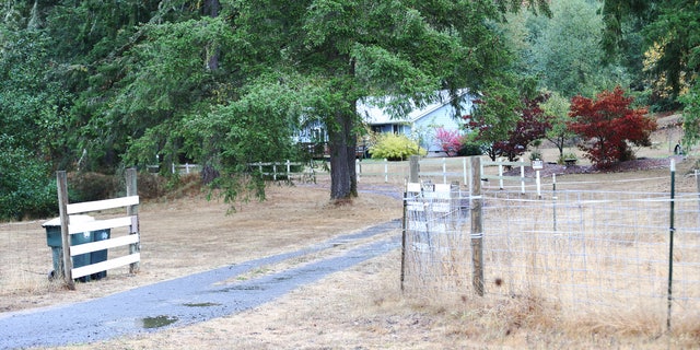 Young An ran toward distant headlights and knocked on someone’s front door to beg for help.