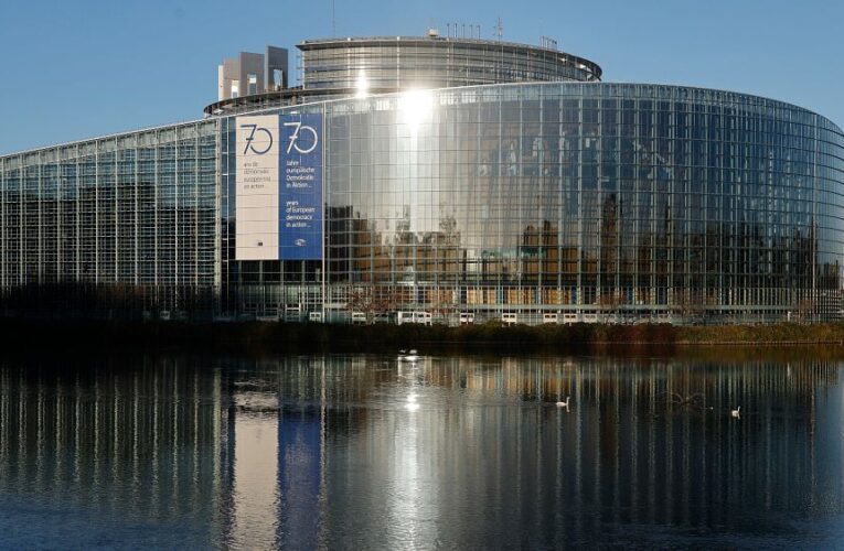 EU Parliament website under ‘external attack’ after MEPs passed critical Russian resolution