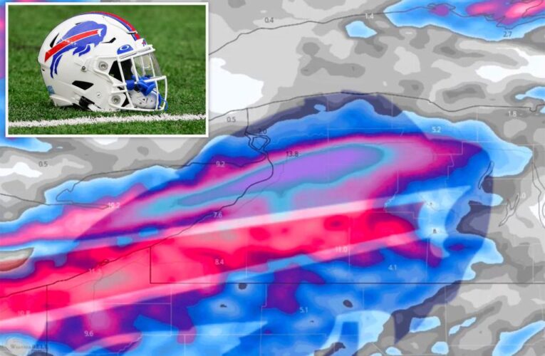 Bills fans see team logo in snowstorm weather radar