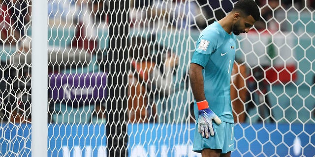 A dejected Saad Al-Sheeb of Qatar during the FIFA World Cup Qatar 2022 Group A match between Qatar and Ecuador at Al Bayt Stadium on November 20, 2022 in Al Khor, Qatar. 