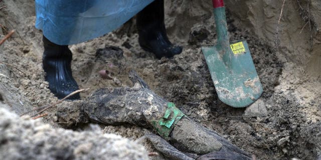 Part of a body of a Ukrainian soldier emerges from the ground during an exhumation in the recently retaken area of Izium, Ukraine, Friday, Sept. 16, 2022. Ukrainian authorities discovered a mass burial site near the recaptured city of Izium that contained hundreds of graves. 