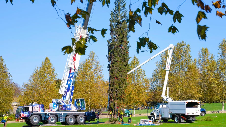 2022 Capitol Christmas Tree being unloaded