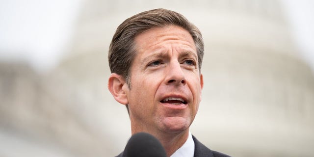 Rep. Mike Levin, D-Calif.