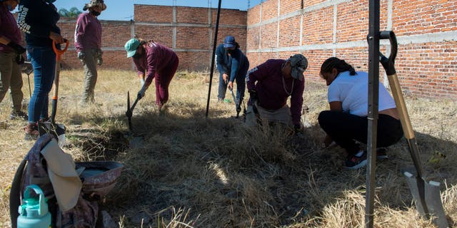 The collective uncovered 53 bags of human remains at the gravesite. 